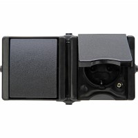 1394.0500.0 PROAQUA priza+intrerupator orizont Negru