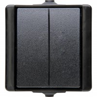 5405.0500.3 PROAQUA intrerupator dublu Negru IP44