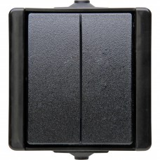 5405.0500.3 PROAQUA двойной выключатель, черный, IP44